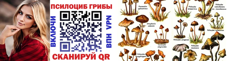 Псилоцибиновые грибы мухоморы  Купить где  Верхнеуральск 
